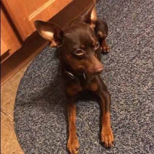 Meet your Posher, Jenna